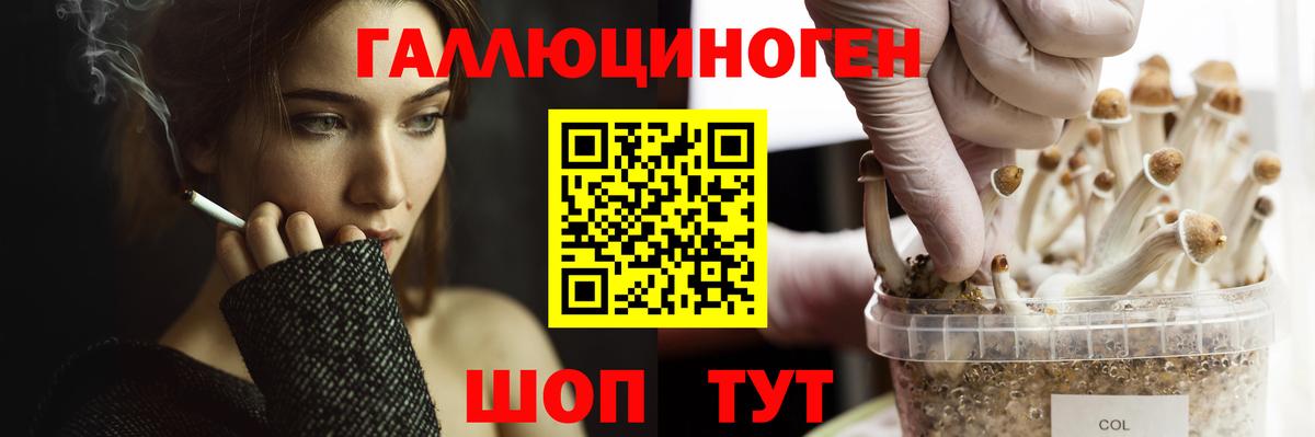 Галлюциногенные грибы мухоморы  Вход с VPN  Новоалтайск 